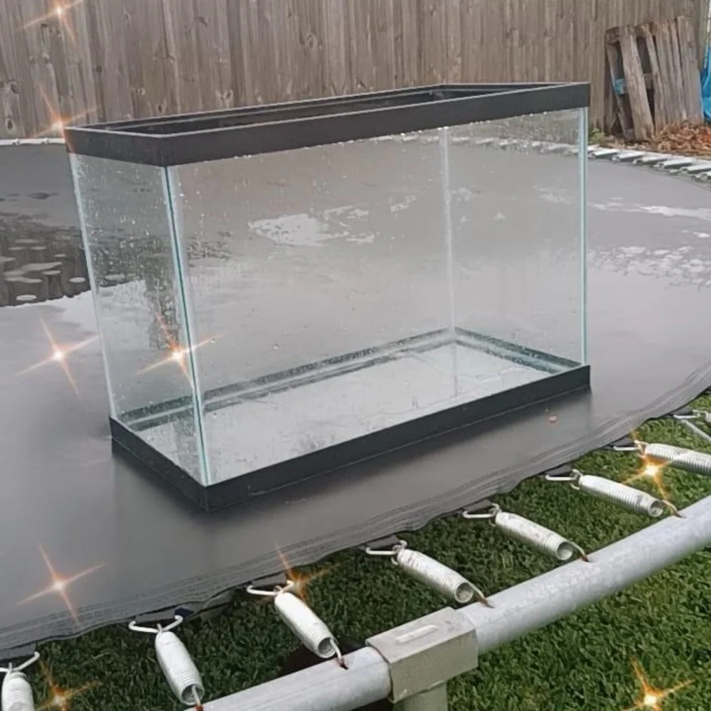 20 gallon tank